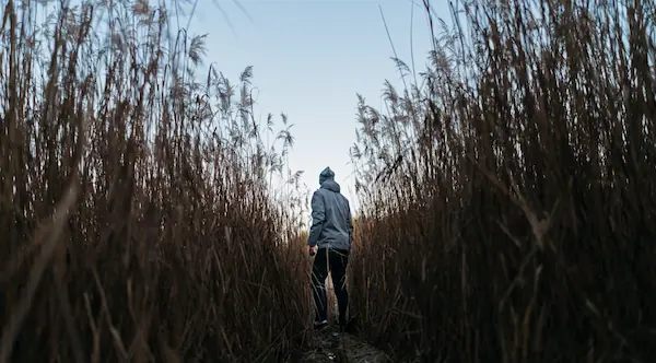 Person in hoodie standing in the middle of a field. Photo by Simon Migaj: https://www.pexels.com/photo/man-in-the-middle-of-trees-751727/