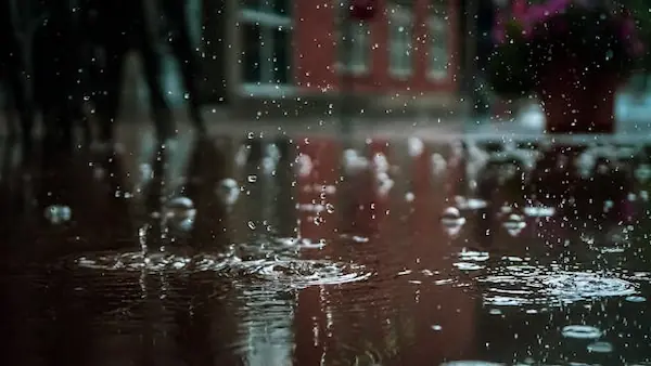Raindrops. Photo by Vlad Chețan: https://www.pexels.com/photo/raindrops-1529360/